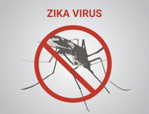 Zika Virus: A WHO EmergencyAbout Human Health Project (HHP) ProgramsHuman health Project is a comprehensive holistic health charity. Read More