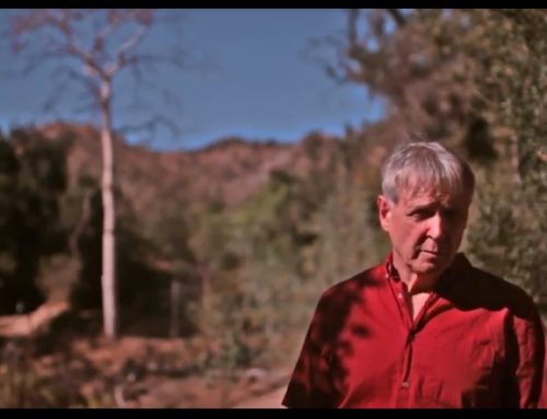 HHP at the helm of transitioning patients to informed health consumersAbout Human Health Project (HHP) ProgramsHuman health Project is a comprehensive holistic health charity. Read More