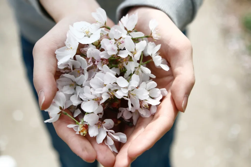 Homepage Donate Flower in Hand Photo